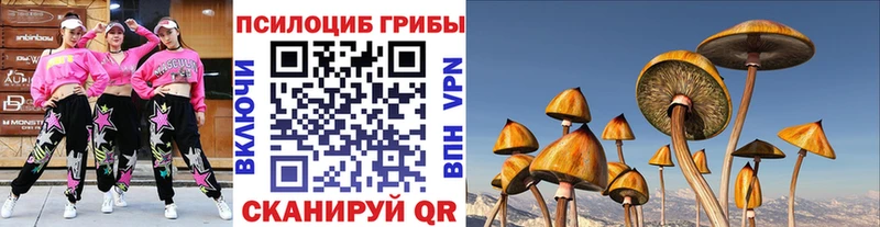Галлюциногенные грибы мицелий Уссурийск