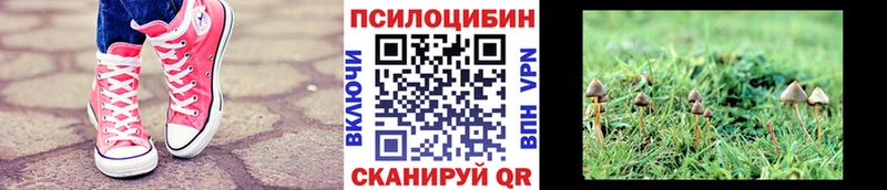 Псилоцибиновые грибы MAGIC MUSHROOMS  даркнет сайт  Уссурийск 